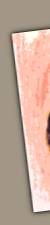 vasen