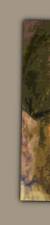 vasen