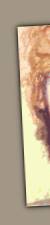 vasen